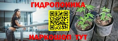 ПСИЛОЦИБИНОВЫЕ ГРИБЫ Жуковский