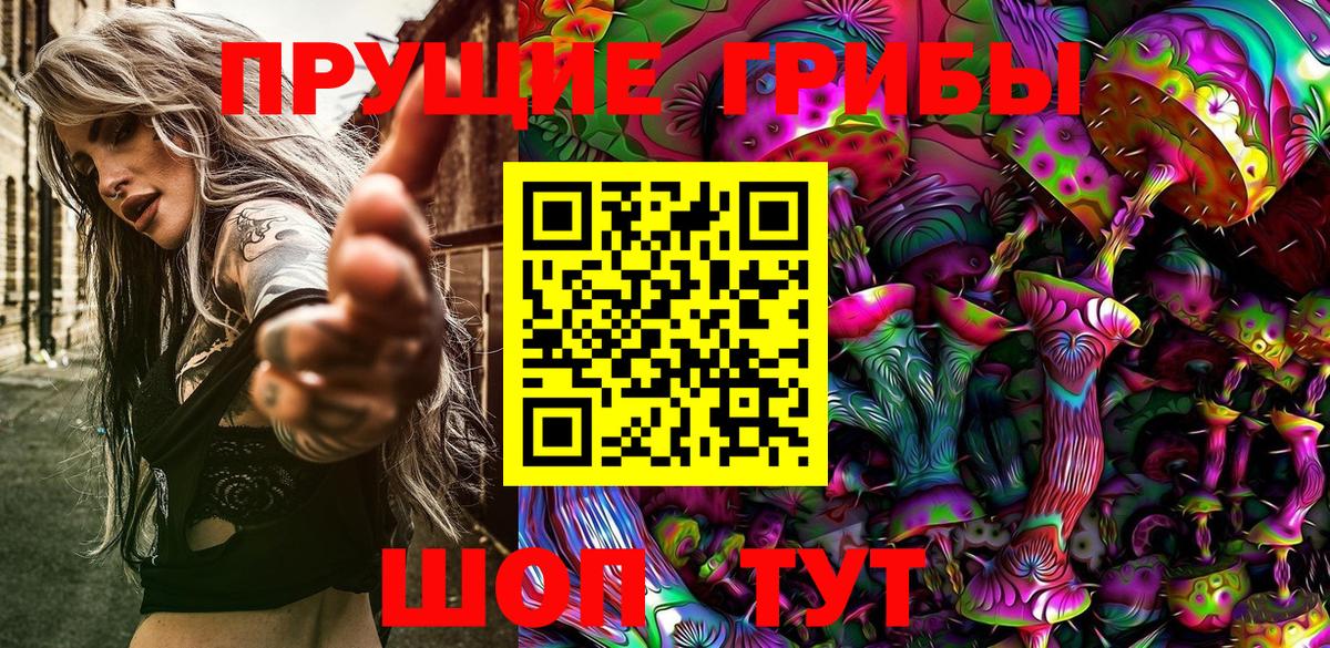 купить  сайты  Галлюциногенные грибы Magic Shrooms  Вход с VPN  Менделеевск 